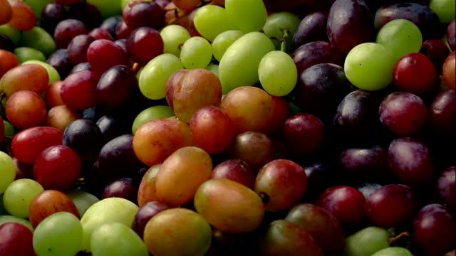 Big-Pile-Of-Grapes-Food-Display
