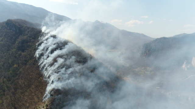 Aerial-footage-of-thick-smoke-coming-from-the-woods,-the-shot-is-moving-forward...