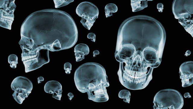Skulls-X-Ray-spinning.-Loop.-3D-animation.