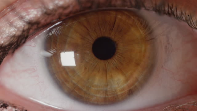 SLOW-MOTION-CLOSE-UP:-Detaillierte-Blick-auf-schönen-bernsteinfarbenen-Augen-öffnen-und-beobachten