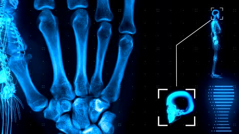 MRI-Schnittstelle.-Schwarz.-Endlos-wiederholbar.-Seitenansicht