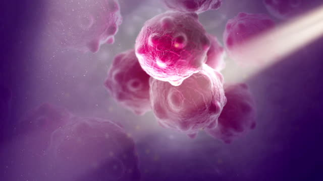 Imagen-cercana-de-las-células-de-cáncer-púrpura-manojo-con-polvo-de-viga-de-gran