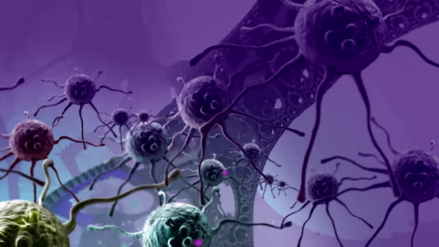 Enger-Image-der-Bund-lila-und-gelb-Krebszellen