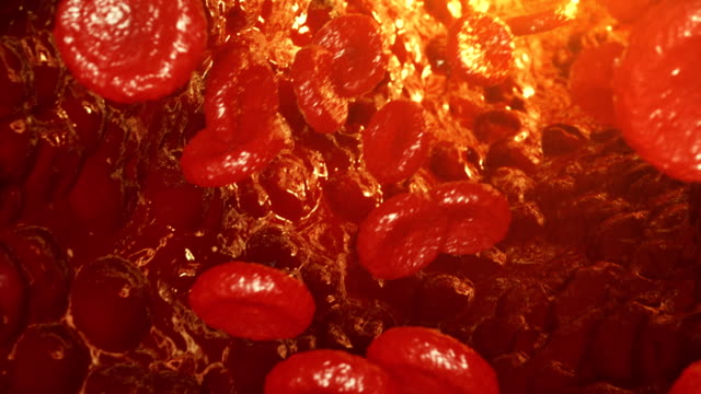 Roten-Blutkörperchen-in-Vene-oder-Arterie,-fließen-im-Inneren-in-einem-lebenden-Organismus.