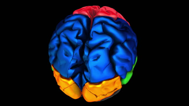 3D-Animation-der-verschiedenen-farbigen-Teile-des-Gehirns---Parietallappen