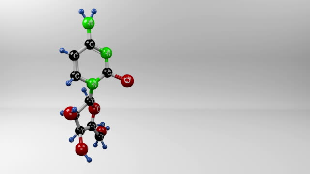 Cytarabine-molecule.
