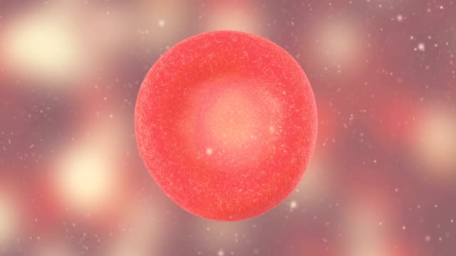 3D-Animation-von-roten-Blutkörperchen