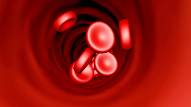 Roten-Blutkörperchen-in-Vene-in-der-Lage,-Schleife
