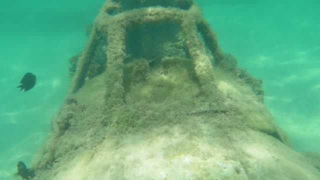 Unterwasser:-Algen-bedeckten-Militärflugzeug-verschlechtert-sich-in-den-Tiefen-des-Ozeans.