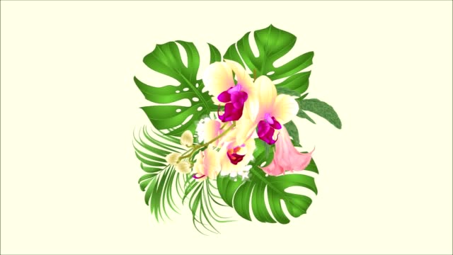 Ramo-de-bucle-sin-interrupción-de-video-animación-con-tropical-flores-arreglo-floral,-con-hermosas-orquídeas-amarillas,-Palma,-filodendro-y-Brugmansia-vintage