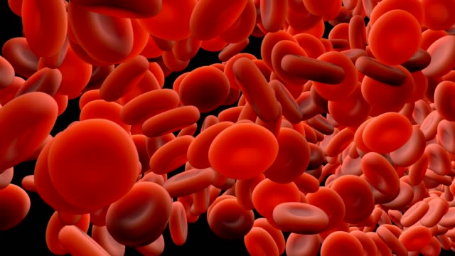 Blood-Cells-in-motion-with-Alpha-Mask