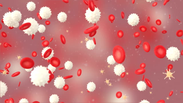 3D-animation-of-a-blood-with-red-cell-white-cell-and-platelet
