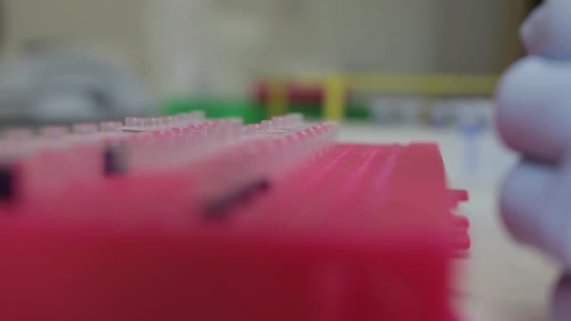 Ein-Forscher-Proben-auf-kleinere-Fläschchen-in-einem-genetischen-Labor-an-der-Universität-übertragen