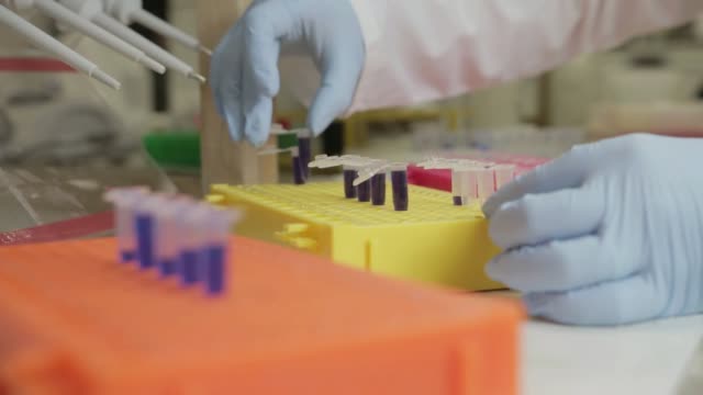 A-researcher-transfer-samples-to-smaller-vials-in-a-genetic-laboratory-at-university