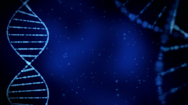DNA-Struktur-(Schleife)