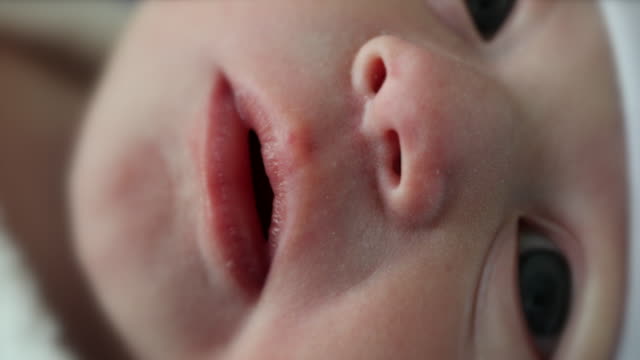 Neugeborenes-Baby-Gesicht-Nahaufnahme