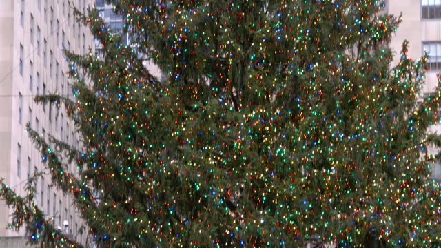 Close-Up-Detail-Video-of-The-Christmas-Tree-in-Rockefeller-Center-With-Large-Groups-Of-Tourists