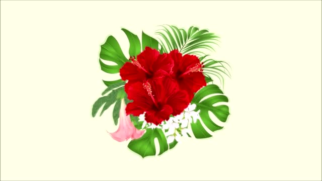 Video-animation-seamless-loop-bouquet-with-tropical-flowers--floral-arrangement,--red-hibiscus,-palm,philodendron-and-Brugmansia