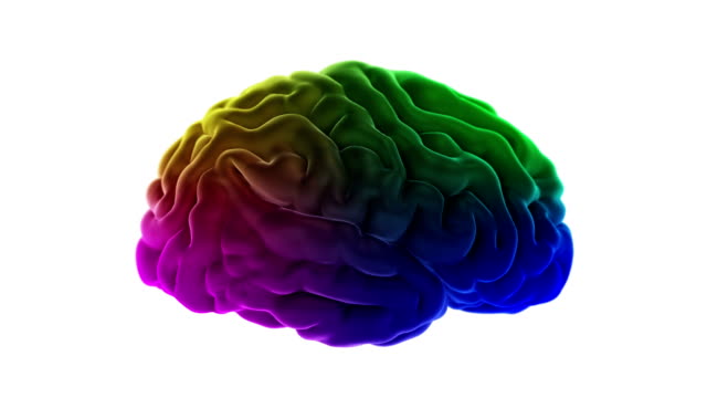 Kreative-menschliche-Gehirn