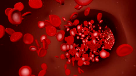 Red-blood-cells-floating-in-a-blood-vein