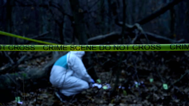Crime-scene-in-dark-forest,-forensic-science-expert-working-with-evidence