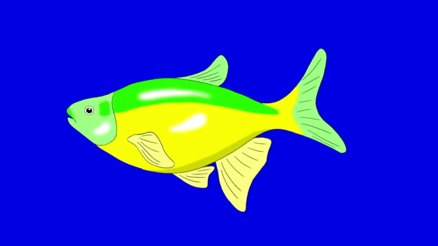Grün-gelb-Aquarium-Fische-Chroma-Key-geschlungen