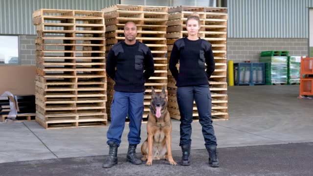 Two-K-9-security-professionals-with-a-Belgian-Malinois-on-patrol.