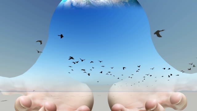 Mixed-media-of-two-3d-animation--from-Flock-of-birds-flying-across-the-screen-and--hand-holding-globe