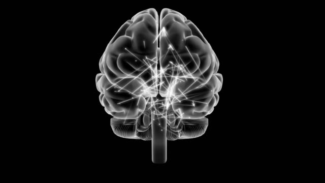 X-ray-style-brain-with-impulses,-360-rotation.
