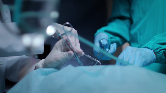 Chirurg-Hände-nehmen-Sie-Blut-Tampon-im-medizinischen-Betrieb.-Health-care