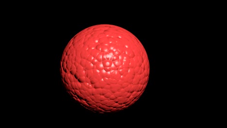 Red-Cellular-division-of-an-in-vitro-fetus-under-the-microscope,generic-cell-dividing,-stem-cells