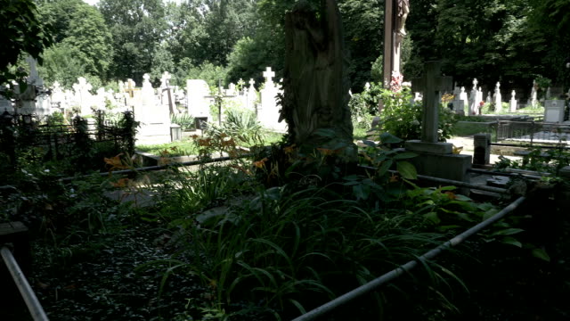 Gotische-deprimiert-Mädchen-stützte-sich-auf-Weinen-Engelsstatue-im-Friedhof-voller-Bäume-und-Vegetation-Moment-der-Stille