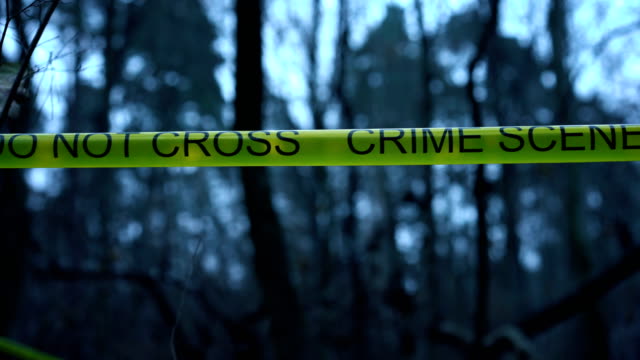 Crime-scene-in-the-woods,-forensic-analyst-working-with-evidence-at-murder-site