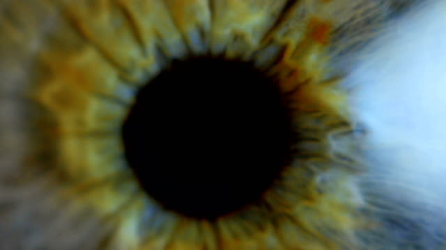 Extreme-close-up-human-eye-iris