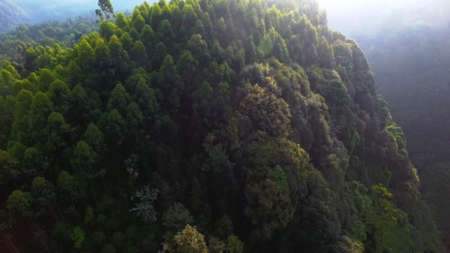 Aerial-view-of-mountain-woods-top,4k