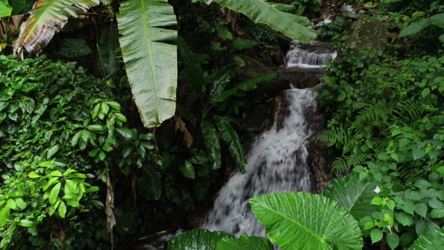 Luftaufnahme-des-Wasserfalls-in-den-tropischen-Regenwald-Bergen
