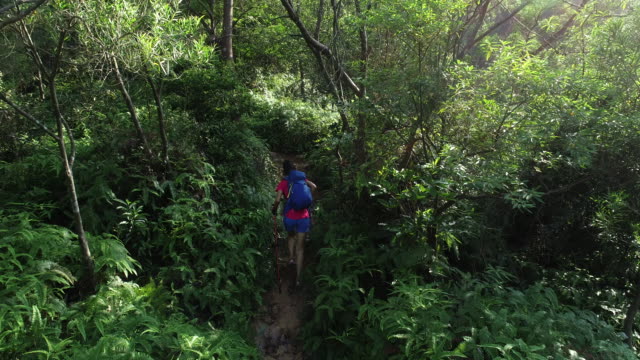 Excursionista-de-mujer-caminando-por-un-sendero-en-el-bosque