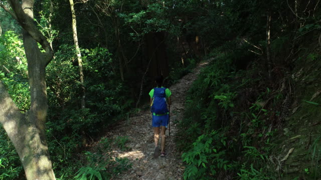 Excursionista-de-mujer-caminando-por-un-sendero-en-el-bosque