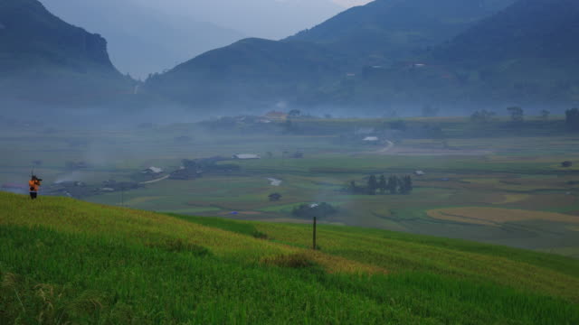 Arrozales-en-terrazas-de-Mu-Cang-Hai,-YenBai,-Vietnam.-Campos-de-arroz-preparan-la-cosecha-en-el-noroeste-Vietnam.Vietnam-paisajes.