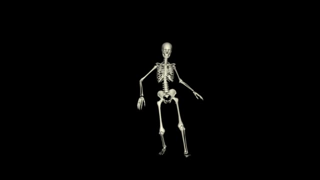 Digitale-3D-Animation-des-Skelettes-posiert