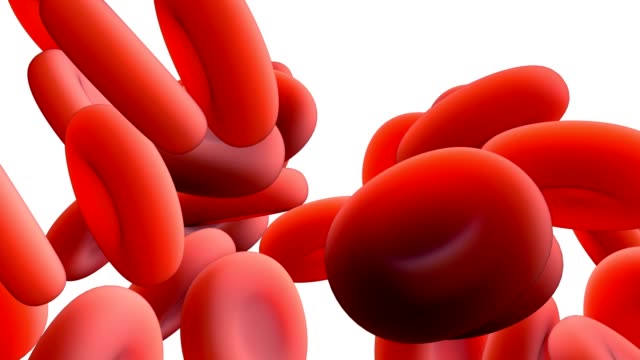 Roten-Blutkörperchen-zirkulieren-in-den-Blutgefäßen-mit-Alpha-Maske