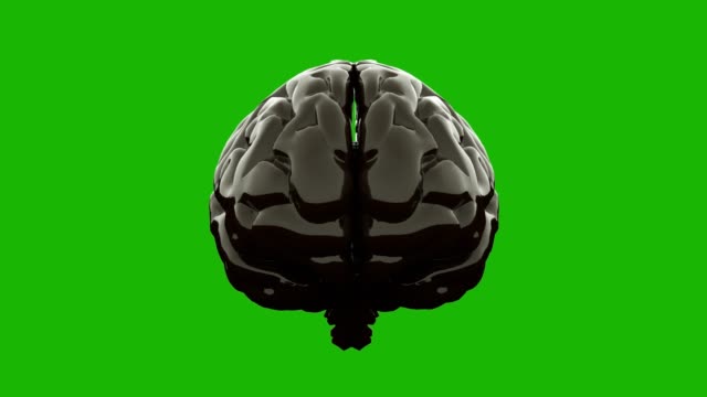Black-glossy-brain,-isolated-on-green-screen.-3D-render