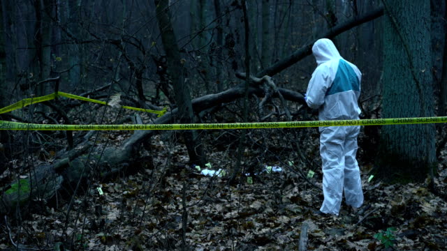 Forensic-expert-working-at-crime-scene-in-forest,-inputting-data-on-tablet