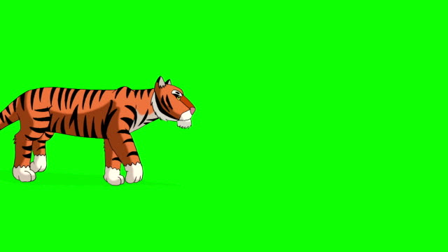 Tiger-geht.-Animierte-Motion-Graphic-isoliert-auf-Green-Screen