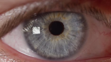 SLOW-MOTION-MACRO-Unknown-blue-eyed-man's-pupil-adjusting-to-changes-in-lighting