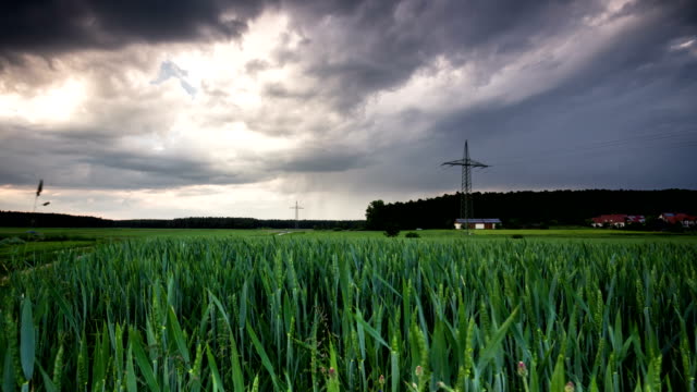 Tiempo-lapso-trueno-nubes-se-mueven-sobre-el-campo-de-trigo-fresco-en-una-granja-de-agricultura-de-verano-hermosa-noche-en-Alemania