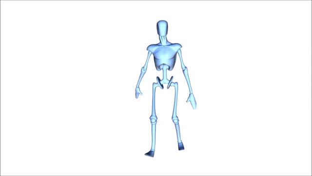Digital-3D-Animation-of-a-Mannequin