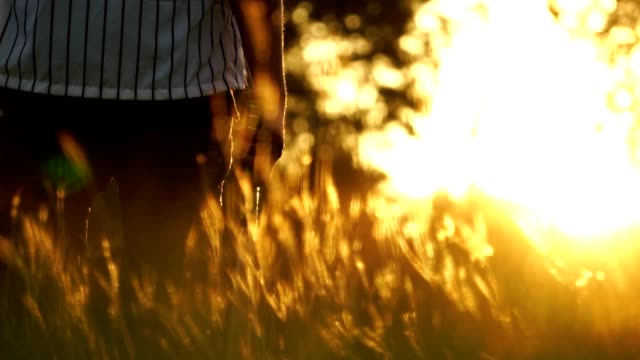 Baseball-player-is-holding-a-baseball-bat-walk-in-a-meadow-with-the-light-of-the-sunset