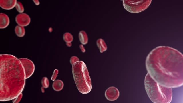 Hämoglobin-Zellen