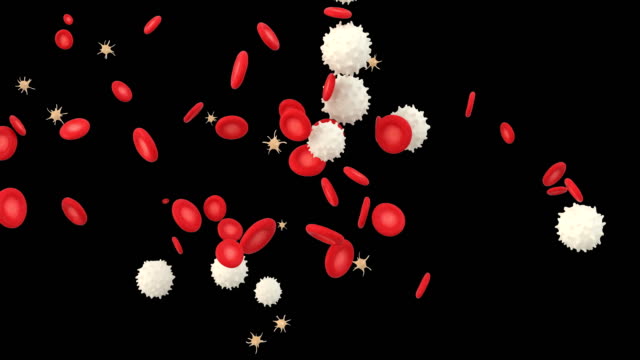 Animación-3D-de-una-sangre-con-leucocitos-eritrocitos-y-plaquetas